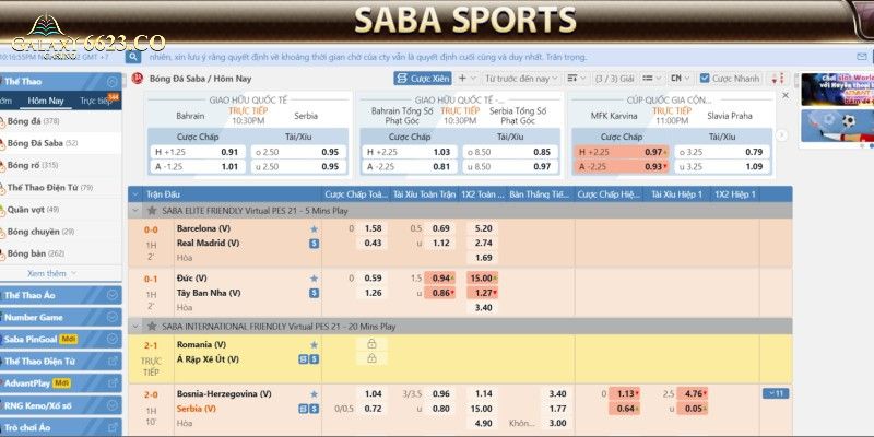 SABA Sports 6623